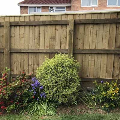 Feather Board Fencing Plymouth